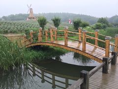 -大塘金香草谷