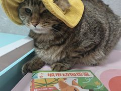 -瑞虹新天地月亮湾