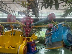 -南宫五洲植物乐园