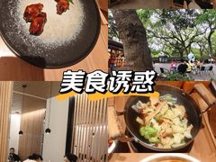 -枣子树·素食餐厅(普陀山店)