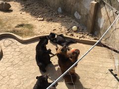 -无锡动物园·太湖欢乐园