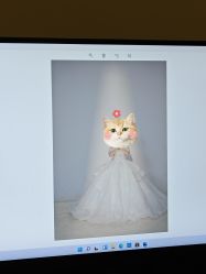-金夫人婚纱摄影(总店)