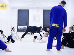 -菠萝格斗巴西柔术训练馆