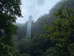 -碧峰峡风景区