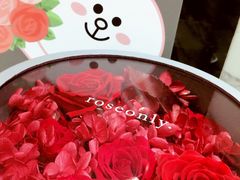 -ROSEONLY诺誓(磐基中心店)