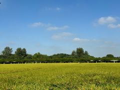 -嘉北郊野公园