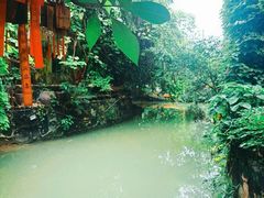 -小洲村