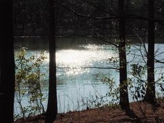 -上海海湾国家森林公园