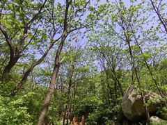 -大岭沟猕猴桃谷风景区