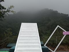 -南丹山森林王国
