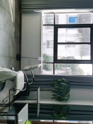 -蚂蚁造型沙龙