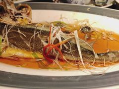 -前海沿·青岛菜(大拇指广场石老人店)