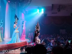 -金东尼人妖秀