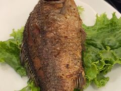 -蝴蝶泉宾馆-中餐厅