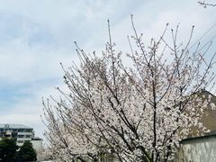 -川沙古镇-停车场