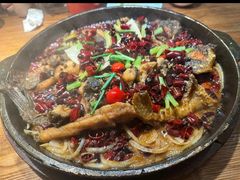 老板恋上鱼-老板恋上鱼(高新万达店)