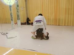 -勇气斑马·巴西柔术&跆拳道(浦东三林店)