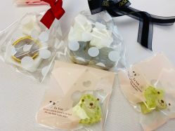 -海豚湾高端月子会所(黄浦店)