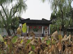 -司徒庙