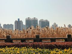 -江心屿景区
