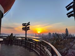 -信号山公园