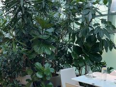 -大树餐厅(红旗街万达店)