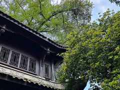 -缙云山景区