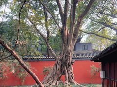 -成都武侯祠博物馆