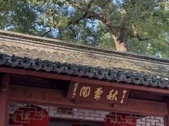 -秋霞圃
