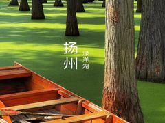 -渌洋湖湿地公园