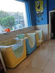 -欢乐悠游婴儿游泳(金碧花园店)