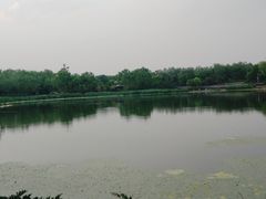 -北坞公园