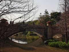 -云溪植物园