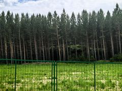 -塞罕坝国家级自然保护区