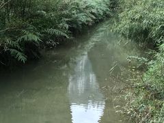 -武隆天坑地缝国家地质公园