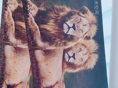 -罗红摄影艺术馆