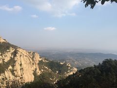 -大芦花风景区