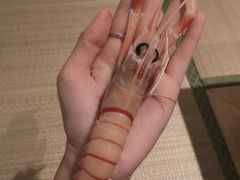 -翼精致料理(昆山旗舰店)