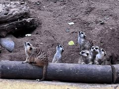 -北京野生动物园