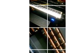 大堂-梧桐餐厅(泉城路店)