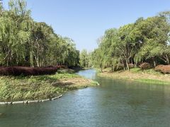 -贡湖湾湿地公园