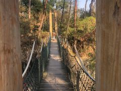 -千岛湖东南湖区