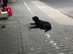 -裕兴记·三虾面(西北街总店)