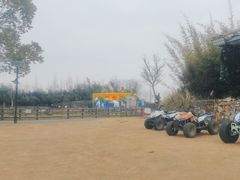 -田园东方蜜桃村的田野营地