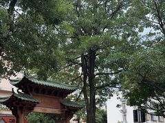 -鸿山公园
