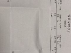 -致善宠物医院(体育路店)