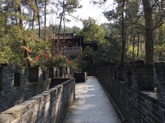 -梦姑塘文化公园