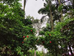 -北海市海滨公园