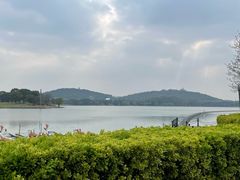 -上海月湖雕塑公园
