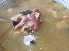 -宣威年猪饭·二十年云南家常菜·特色小炒肉·春季鲜花野菜上新(尚邻雅苑店)